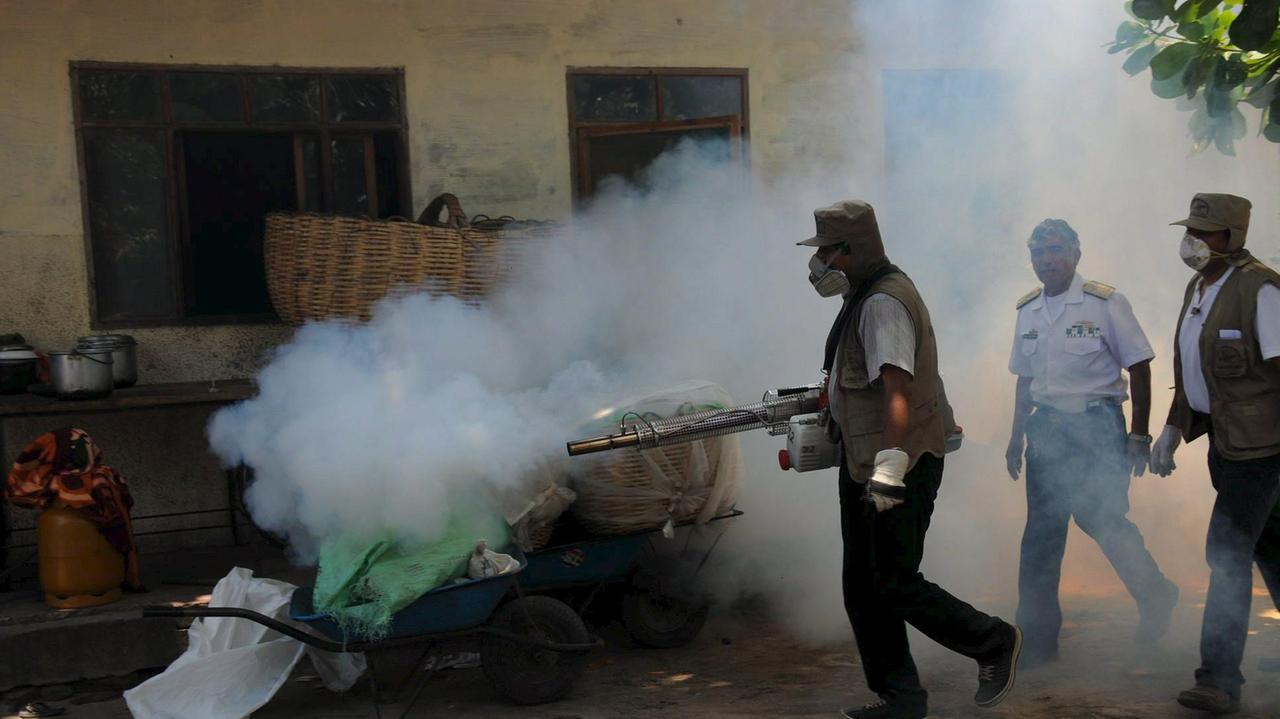 Un'imponente disinfestazione contro la Dengue