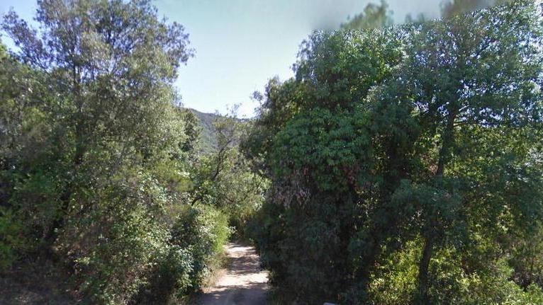 Bimba down si perde nel bosco, salvata da un pompiere