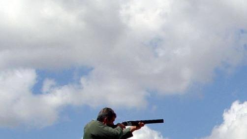 Guerra del fagiano fuoco amico tra i cacciatori