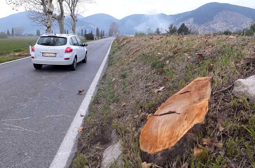 E dopo via del Brennero altri tagli sul viale di Boboli