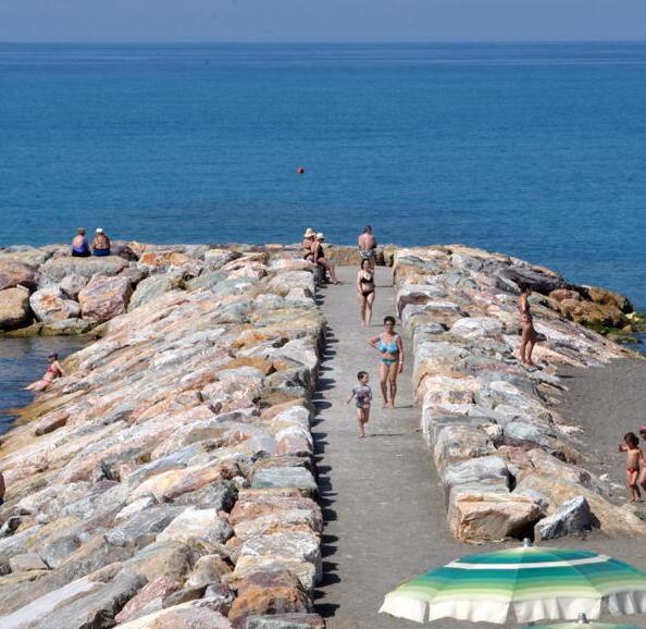 Nuovi ripascimenti da ottobre 
