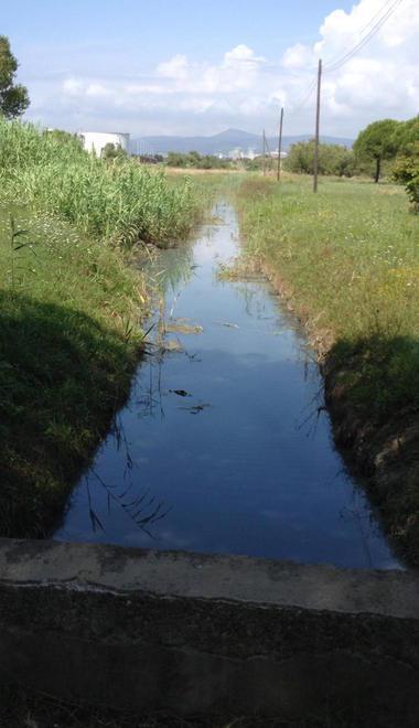 «Nel fossato ribollivano gli idrocarburi» 