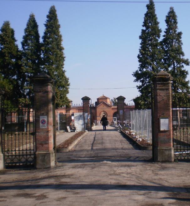 Le siepi dei cimiteri infestate dai bruchi 