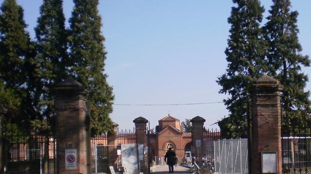 Le siepi dei cimiteri infestate dai bruchi