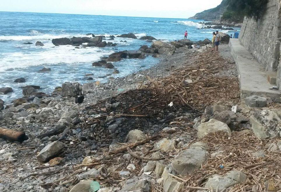Detriti in fiamme sulla spiaggia della Madonnina a Quercianella 