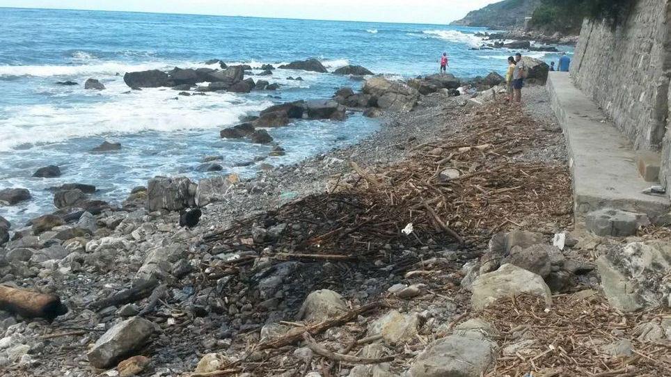 Detriti in fiamme sulla spiaggia della Madonnina a Quercianella