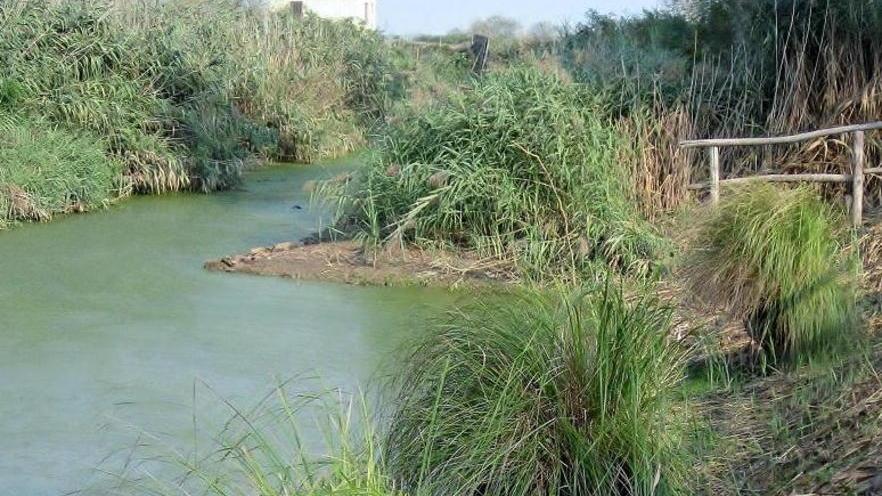 Artigianato col sarello: verso una nuova filiera