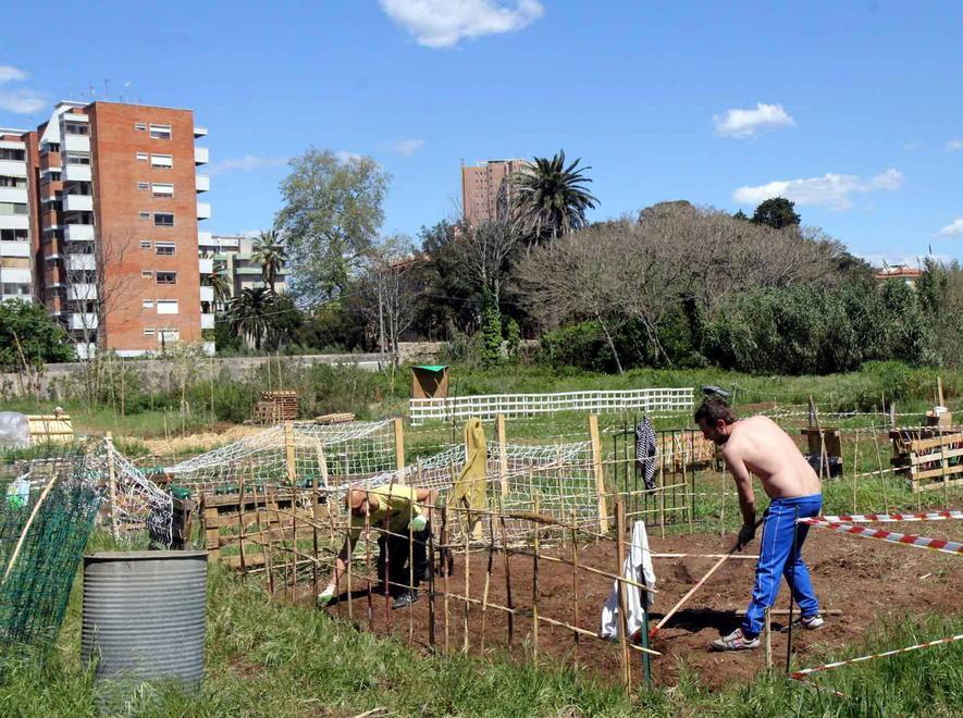 «Gli orti urbani di via Goito diventino esempio per altri» 