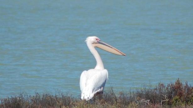 Ecologisti: Comuni intervengano su abusi