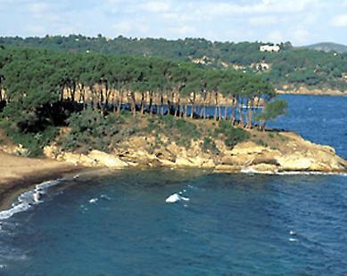 Sub colpito da un’embolia al largo della Costa dei Gabbiani 