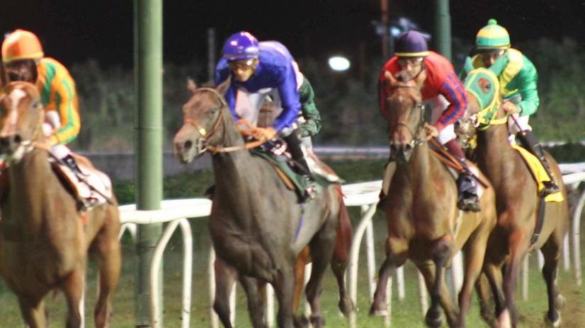Palio ippico, si sfidano al galoppo i 16 rioni