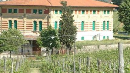 Poca uva e in ritardo, l’annata orribile dei vignaioli pistoiesi