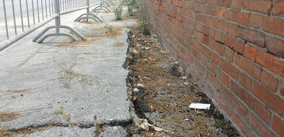 Quelle spiagge da restituire alla città 