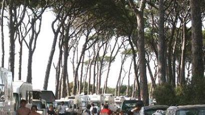 Soste per disabili vietato il parcheggio vicino agli alberi