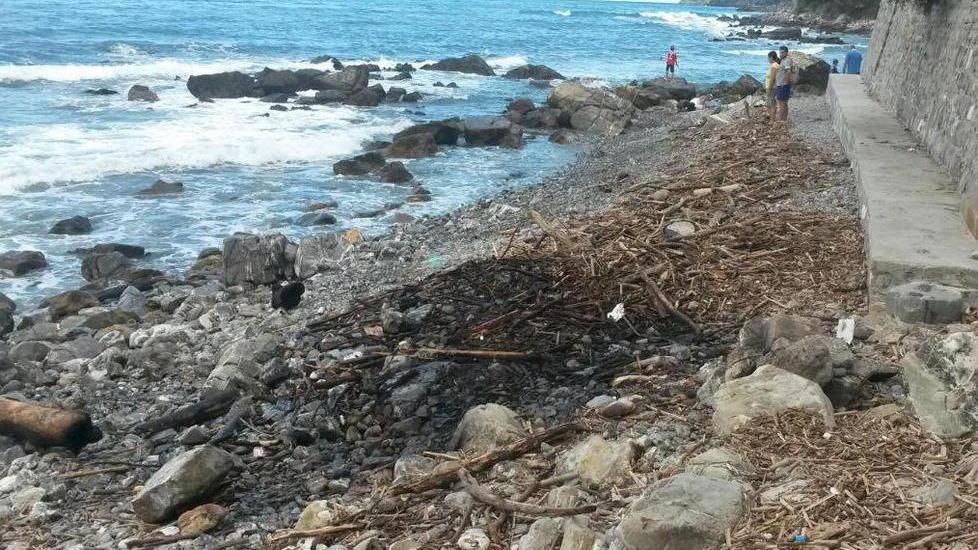 Detriti in fiamme sulla spiaggia di Quercianella