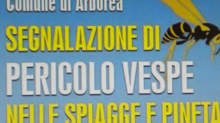 Allarme vespe ad Arborea, avviso pubblico