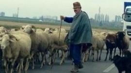 «Quel cane aveva già azzannato»