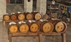 A Novellara il corso sull’aceto balsamico