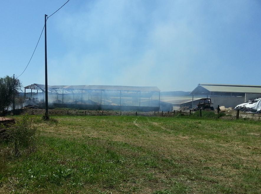  A fuoco anche l’amianto L’oasi sul lago resta chiusa 