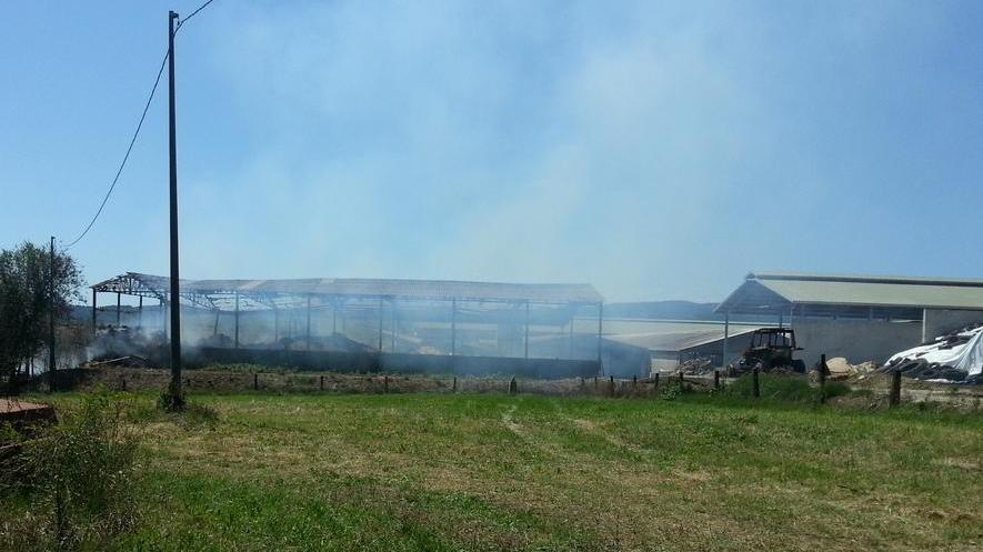 A fuoco anche l’amianto L’oasi sul lago resta chiusa