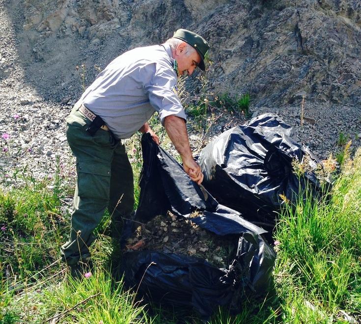 Una discarica dopo i tanti pic-nic 