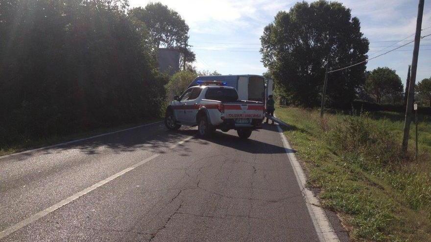 Carcassa di un cinghiale morto manda il traffico in tilt