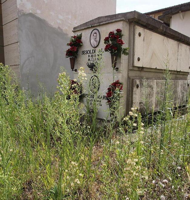 Rovi, siringhe e crolli: di “monumentale” è rimasto il degrado 