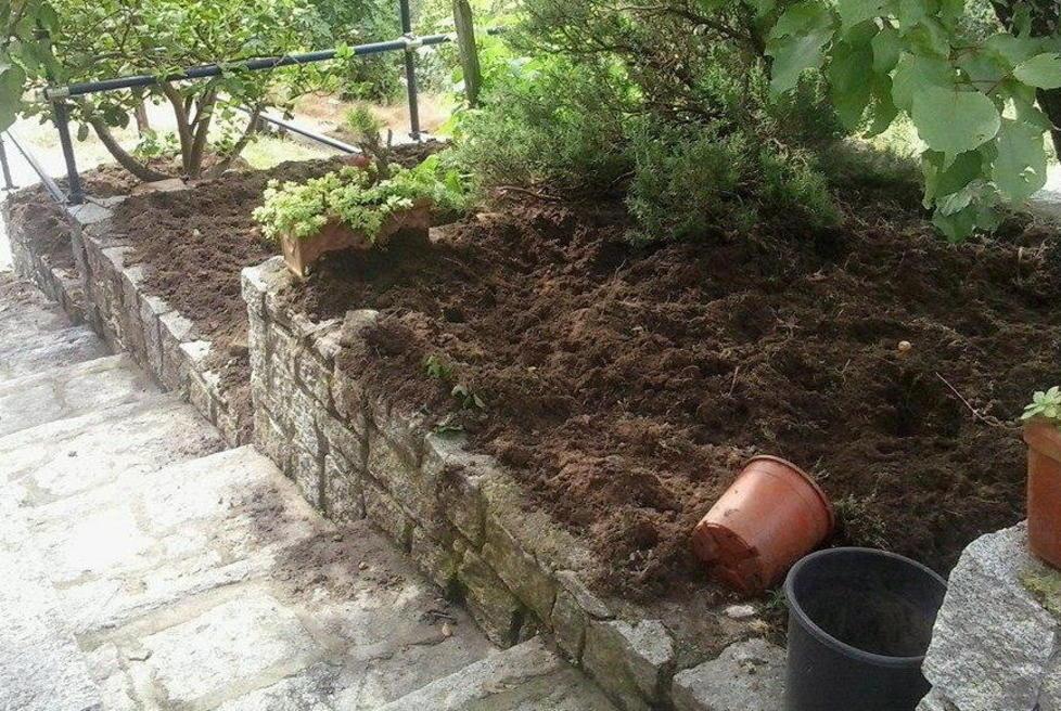 Via libera al piano per abbattere i cinghiali in collina 