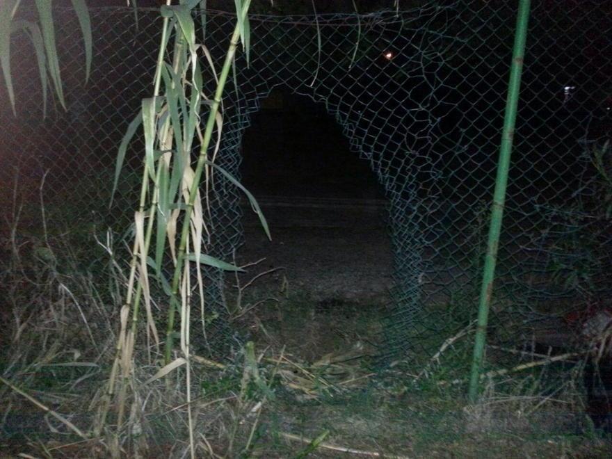 I ladri tornano a far visita al circolo Farnesi: smurata la finestra, via una slot 