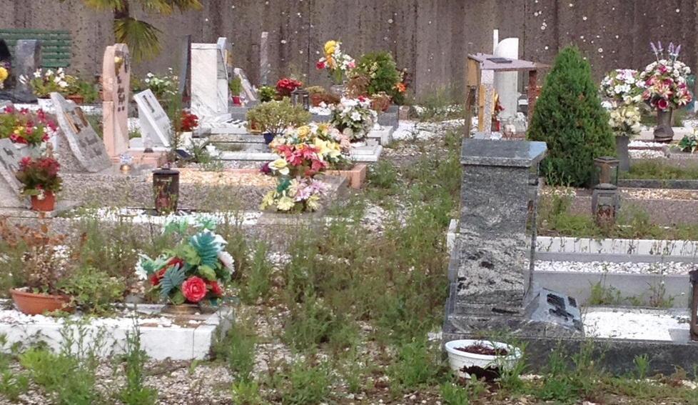 Erbacce, sporcizia e topi tra le tombe del cimitero 