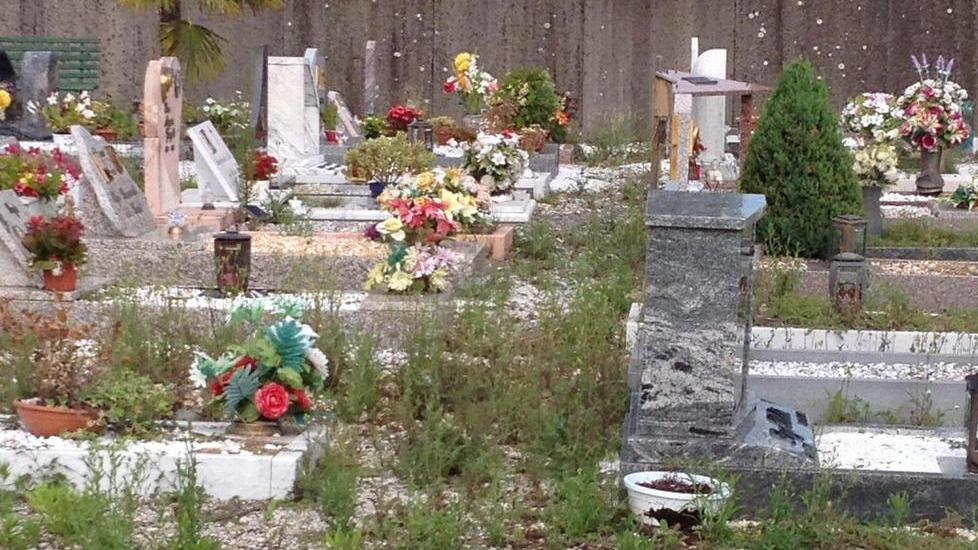 Erbacce, sporcizia e topi tra le tombe del cimitero
