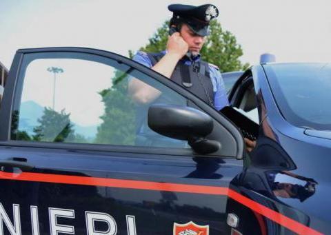 Muore a 14 anni per un tuffo in piscina 