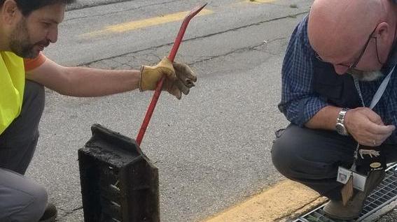 Guerra alle zanzare nelle caditoie fino ad ottobre