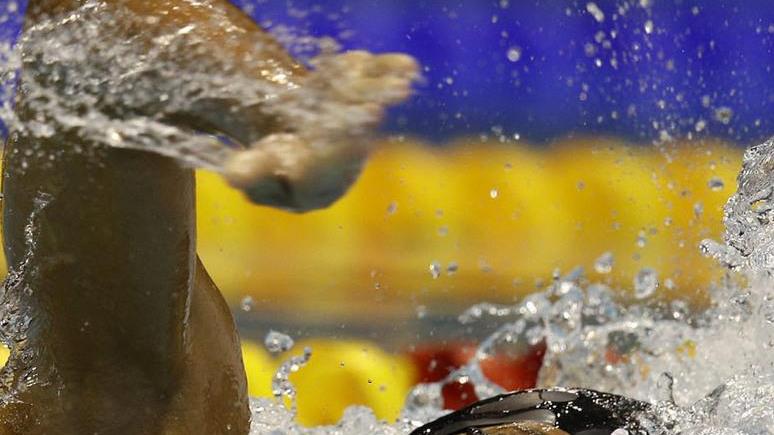 Greg, il ritorno del campione