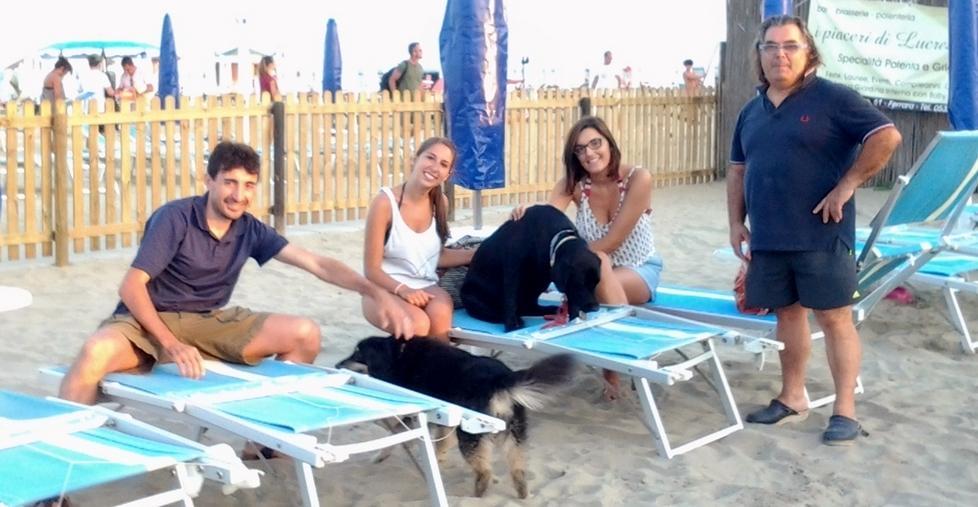 Più servizi per gli ospiti pelosi 