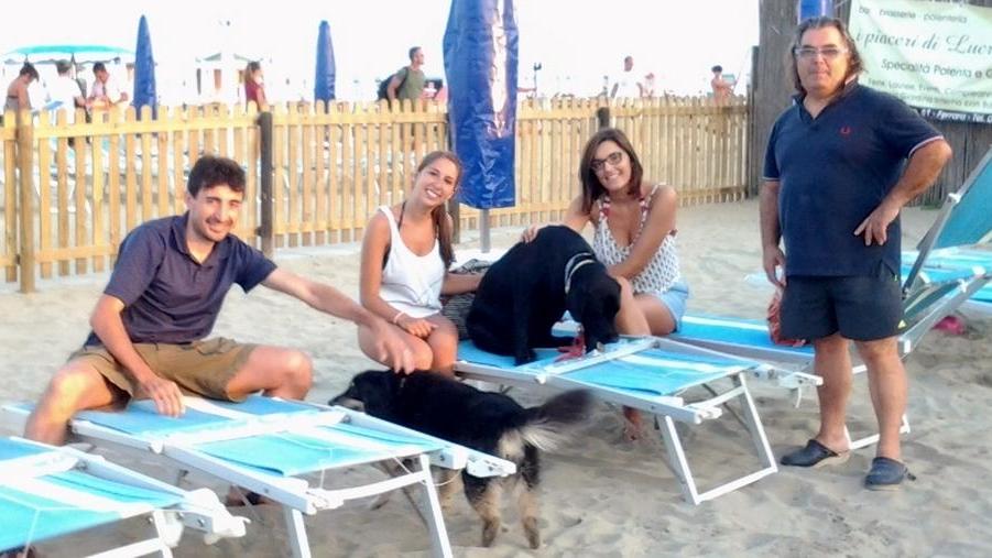 Più servizi per gli ospiti pelosi