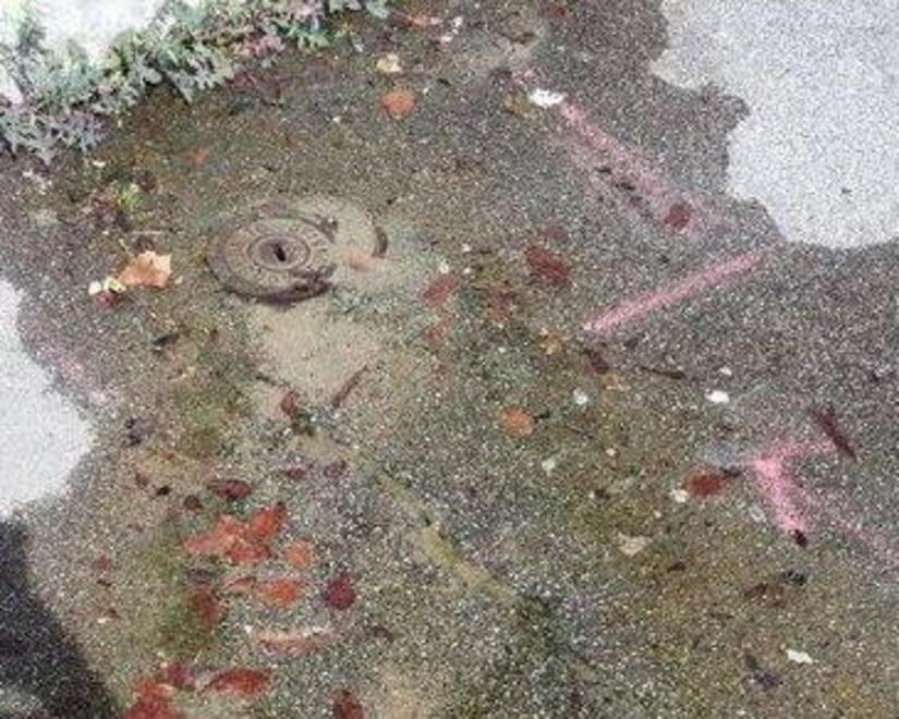 L’acqua sgorga dai tubi da settimane, altri due casi 