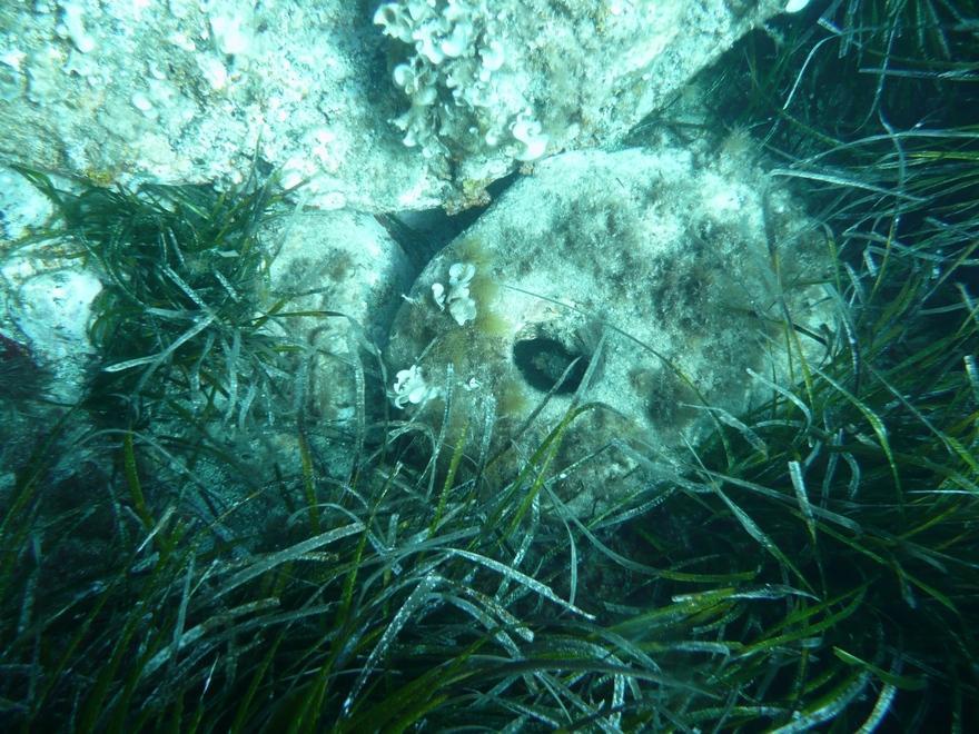 Archeologia, recuperata dalla finanza un’ancora di epoca nuragica 