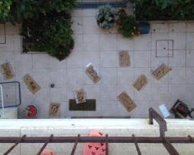 Topi in via del Palco, l’amministratore chiama la derattizzazione 