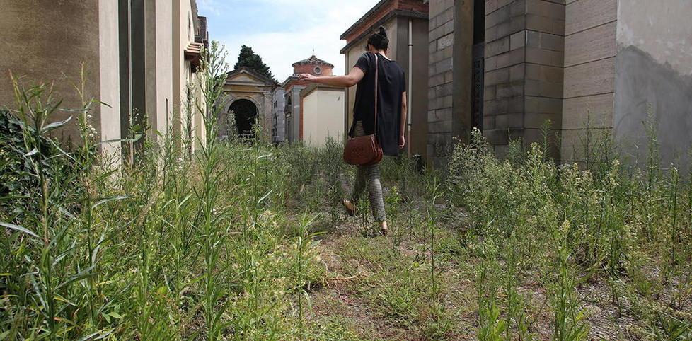 Rovi, siringhe e crolli di “monumentale” è rimasto il degrado 