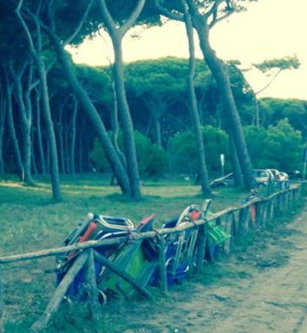 La pineta come un rimessaggio 