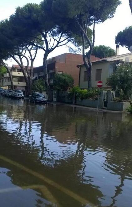 Il Comune chiede lo stato di calamità naturale 