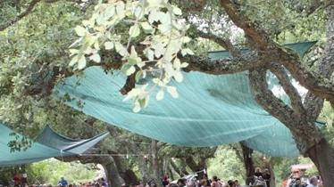 Festa dell’Agliola, tutto pronto per l’ultima sagra estiva