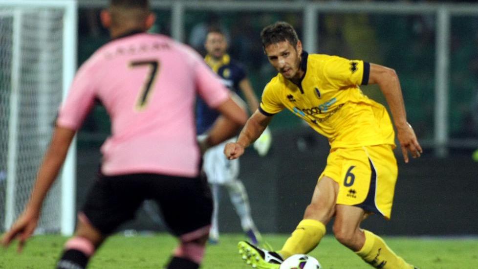 Lunedì sera il debutto col Cittadella Zoboli accelera, Osuji con Schiavone