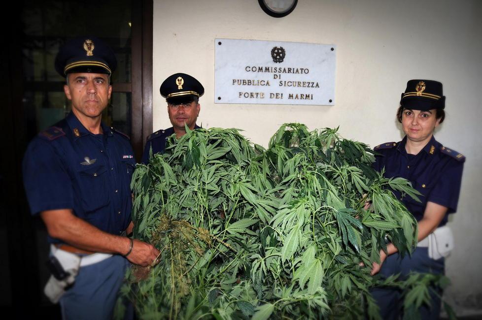 Coltiva marijuana nella villetta del Forte: denunciato 