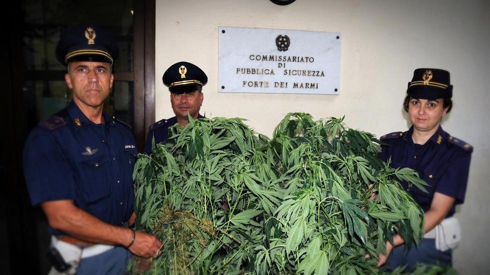 Coltiva marijuana nella villetta del Forte: denunciato