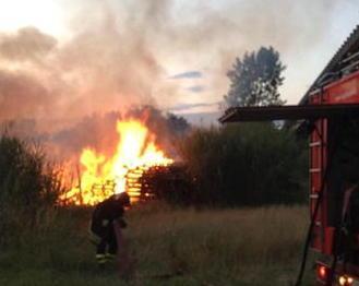 Maxi incendio di sterpaglie, sei ore di lavoro per i pompieri 