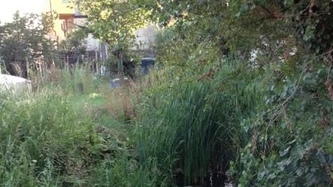 Ottantenne trovato morto in un fosso a Santa Lucia