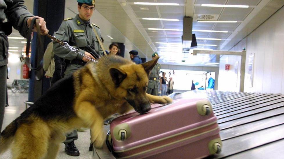 Aeroporto, arrestati sei corrieri della droga
