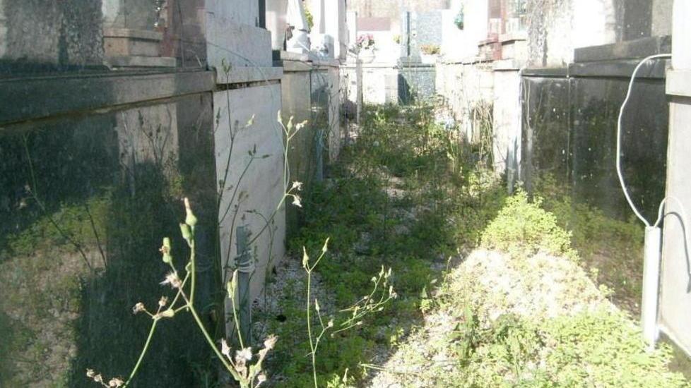 Degrado nel cimitero di via Sarzanese